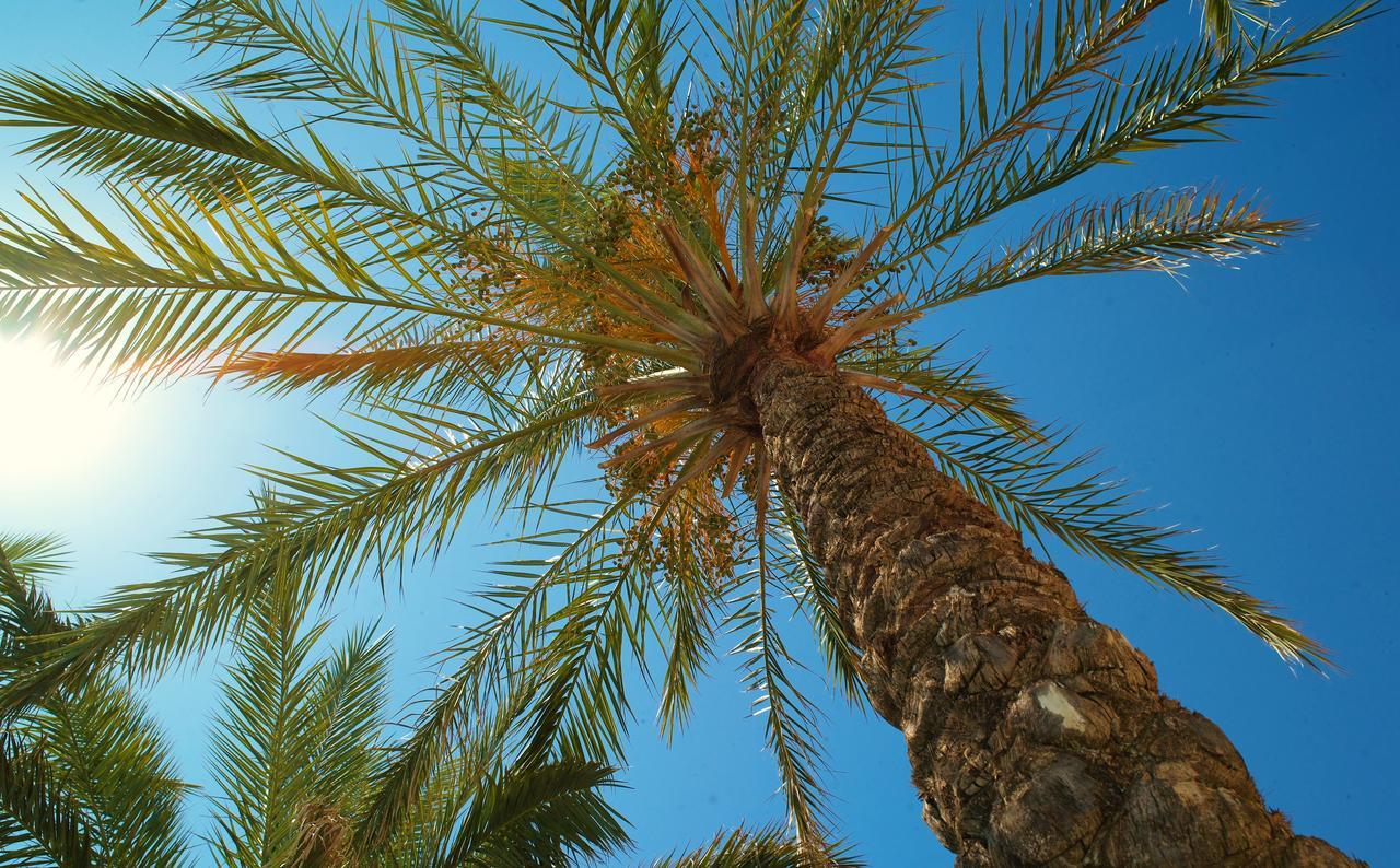 Kallitsakis Beach Platanias Exterior foto